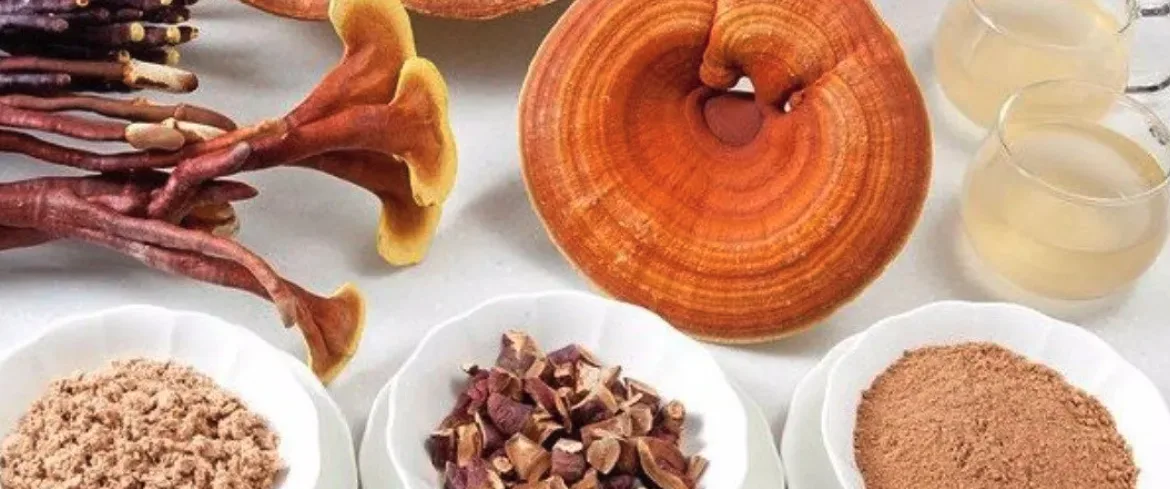 Ganoderma y diabetes