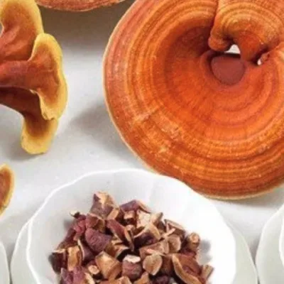 Ganoderma y diabetes